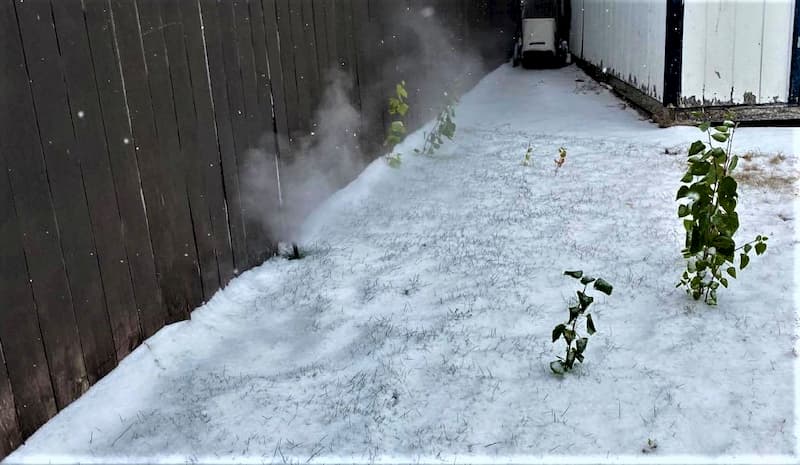 Sprinkler Winterization in Brighton, CO