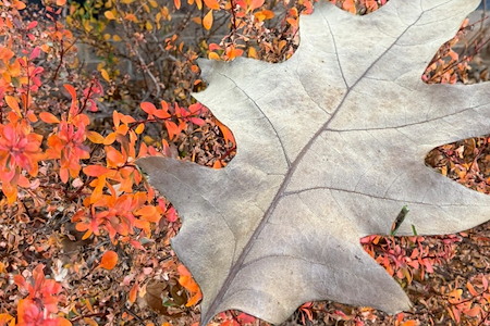 preventive plumbing tips