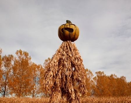 Pumpkin carving party dont scare your garbage disposal